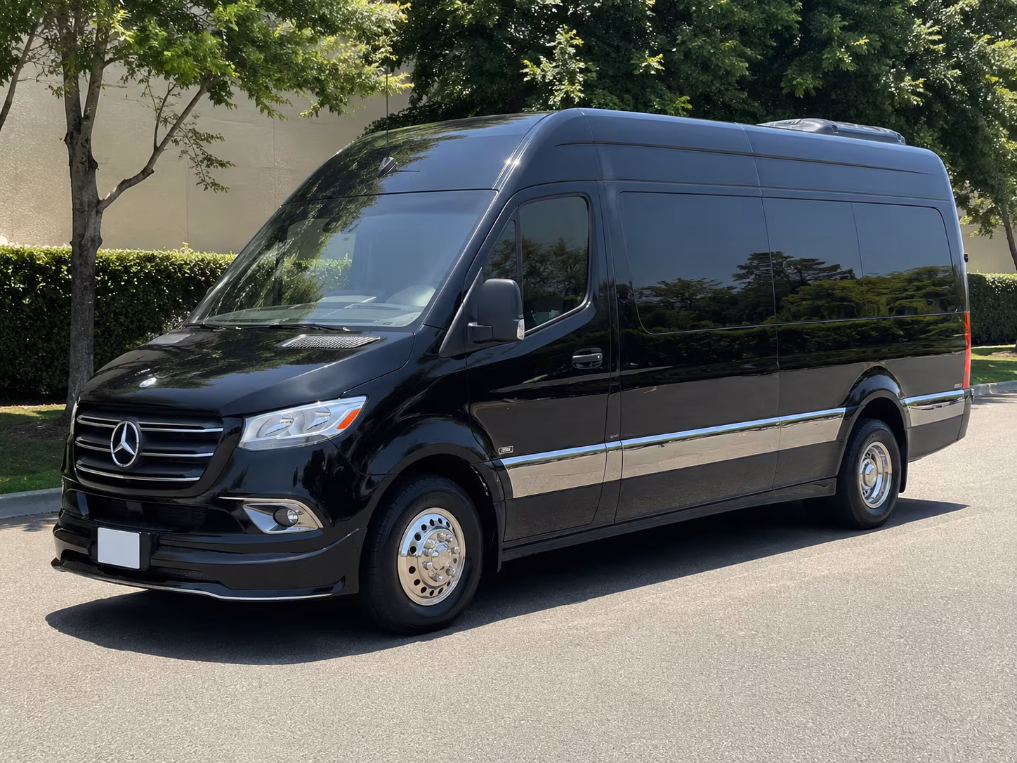 12 passenger sprinter van
